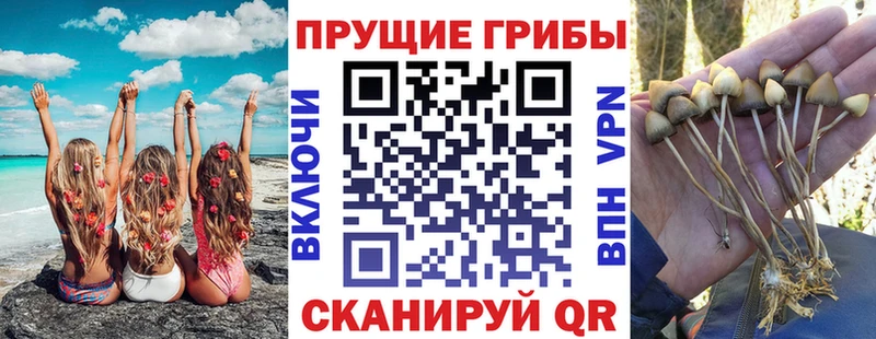 Галлюциногенные грибы мухоморы  даркнет сайт  Струнино 