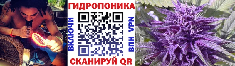 дарк нет наркотические препараты  Струнино  Каннабис гибрид 